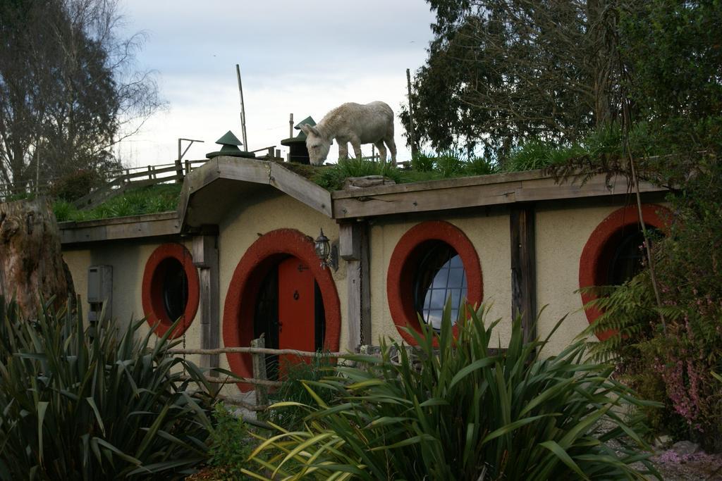 Woodlyn Park Motel Waitomo Caves Luaran gambar